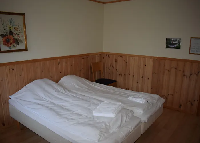 Skogmo